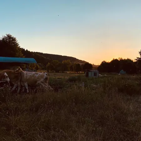 Apartmán Nennigmuehle *